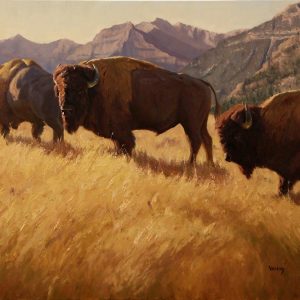 buffalo