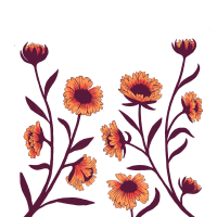 screen_ArtsinPark-Floral